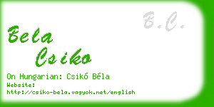 bela csiko business card
